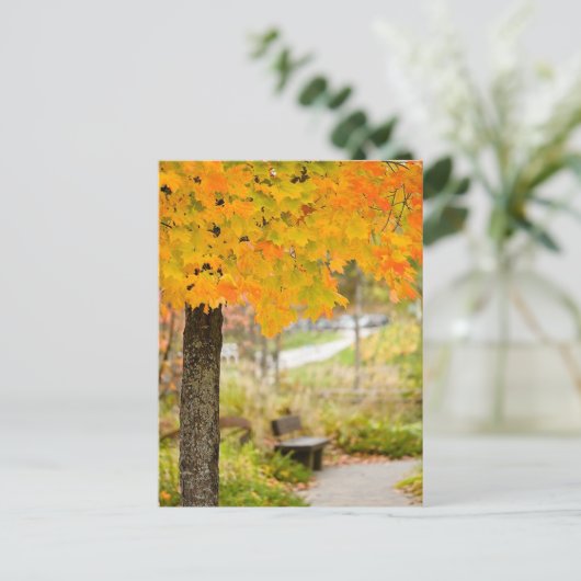 Herbstszene Postkarte (Stehend Vorderseite)