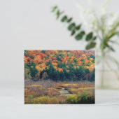 Herbstszene Postkarte (Stehend Vorderseite)