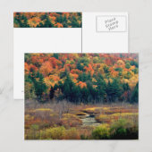 Herbstszene Postkarte (Vorne/Hinten)