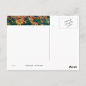 Herbstszene Postkarte (Rückseite)