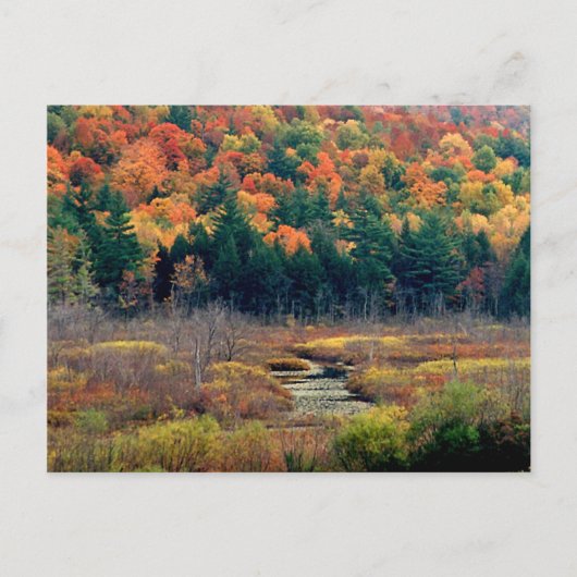 Herbstszene Postkarte (Vorderseite)