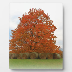 Herbsttag Fotoplatte