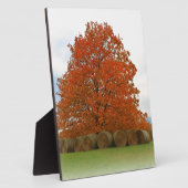 Herbsttag Fotoplatte (Seite)