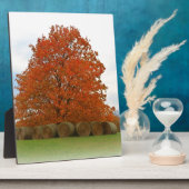 Herbsttag Fotoplatte (Seite)