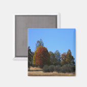 Herbsttag im Land...... Magnet (Vorderseite/Rückseite)