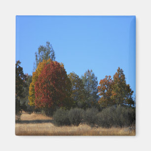 Herbsttag im Land...... Magnet