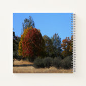 Herbsttag im Land...... Notizblock (Rückseite)