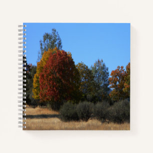 Herbsttag im Land...... Notizblock