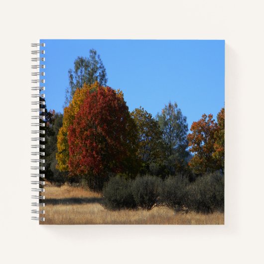 Herbsttag im Land...... Notizblock (Vorderseite)