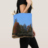 Herbsttag im Land...... Tasche (Von Nahem)