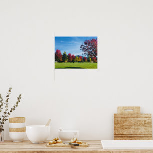 Herbsttag im Park Poster