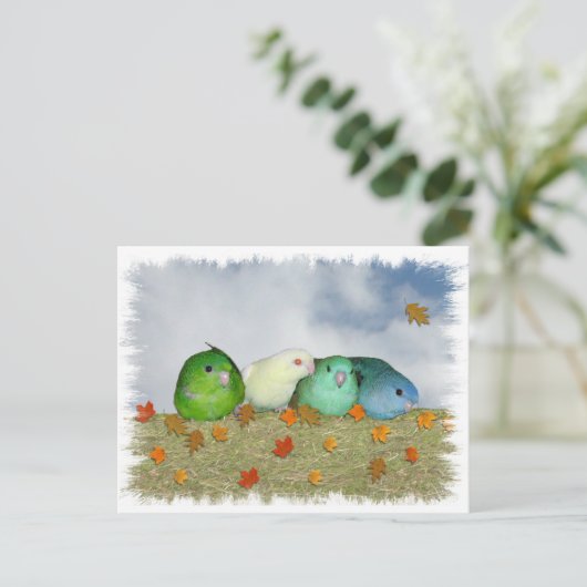 Herbsttag Postkarte (Stehend Vorderseite)