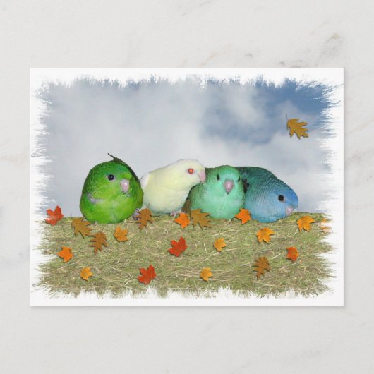 Herbsttag Postkarte (Vorderseite)