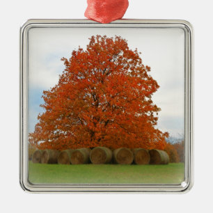 Herbsttag Silbernes Ornament