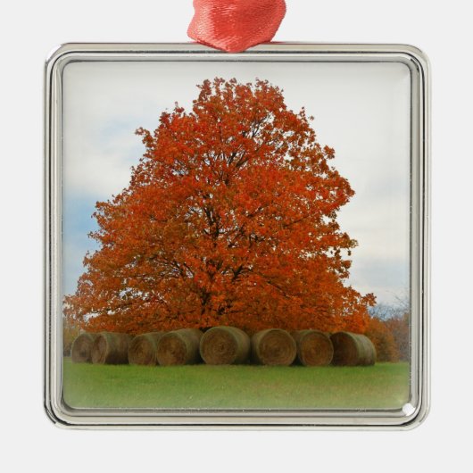 Herbsttag Silbernes Ornament (Vorne)