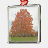 Herbsttag Silbernes Ornament (Links)