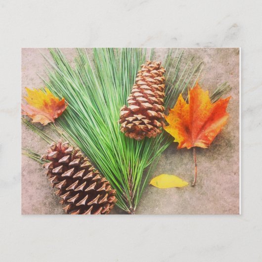 Herbsttage Postkarte (Vorderseite)