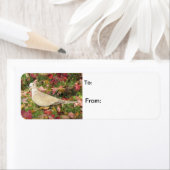 Herbsttaube (Insitu)