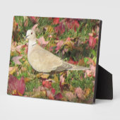 Herbsttaube Fotoplatte (Seite)