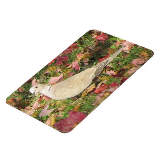 Herbsttaube Magnet (Linke Seite)