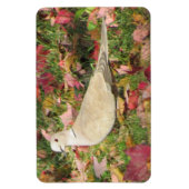 Herbsttaube Magnet (Vertikal)