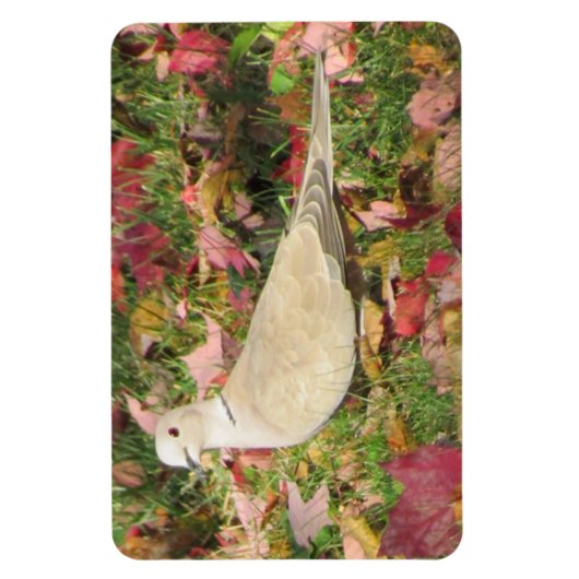 Herbsttaube Magnet (Vertikal)