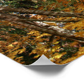 Herbstteich, Landschaft, auf den Kopf gestellt Poster (Ecke)