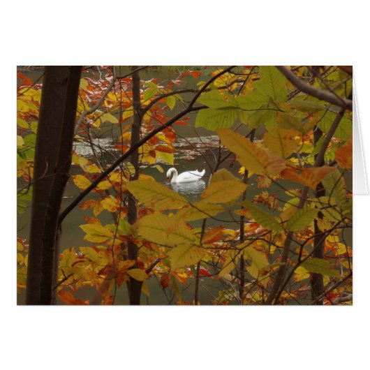 Herbstteich mit Schwan (Vorderseite (Horizontal))