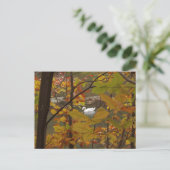 Herbstteich mit Schwan Postkarte (Stehend Vorderseite)