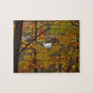 Herbstteich mit Schwan Puzzle
