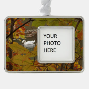 Herbstteich mit Schwan Rahmen-Ornament Silber