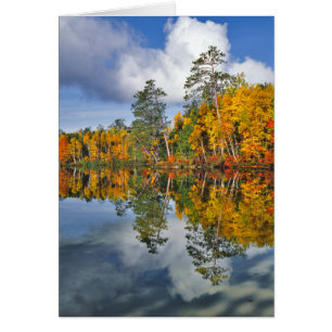 Herbstteich Reflektionen, Maine