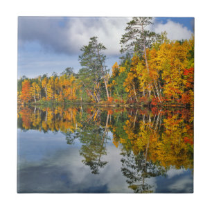 Herbstteich Reflektionen, Maine Fliese