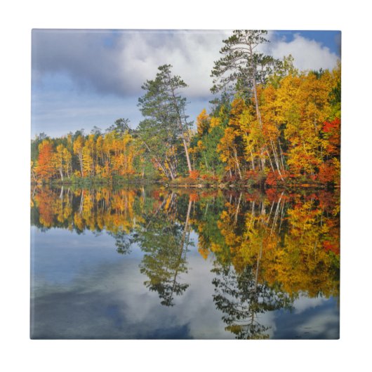 Herbstteich Reflektionen, Maine Fliese (Vorderseite)