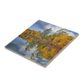 Herbstteich Reflektionen, Maine Fliese (Seite)