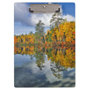 Herbstteichreflexionen, Maine Klemmbrett