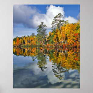 Herbstteichreflexionen, Maine Poster