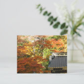 Herbsttempel in Nikko, Japan Postkarte (Stehend Vorderseite)