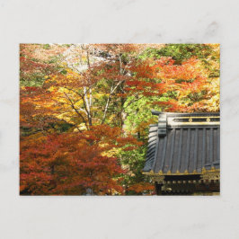 Herbsttempel in Nikko, Japan Postkarte
