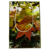 Herbsttöne Mittlere Geschenktüte (Vorderseite)
