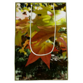Herbsttöne Mittlere Geschenktüte (Rückseite)