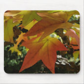 Herbsttöne Mousepad (Vorne)