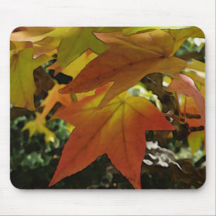 Herbsttöne Mousepad