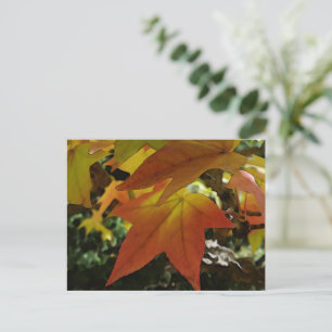 Herbsttöne Postkarte