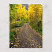 Herbsttraum Postkarte (Vorderseite)