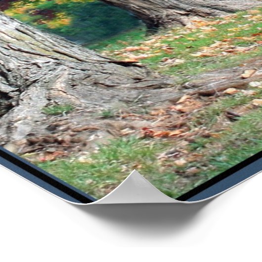 Herbsttrieb Poster (Ecke)