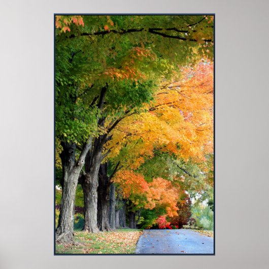 Herbsttrieb Poster (Vorne)