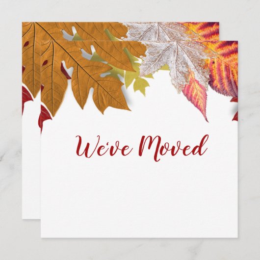 Herbstübergänge Wir haben bewegende Ankündigungska Ankündigung (Vorne/Hinten)