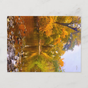 Herbstufer Postkarte