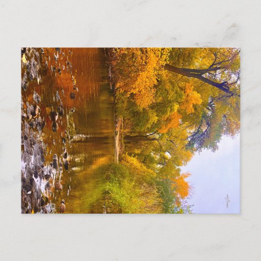 Herbstufer Postkarte (Vorderseite)